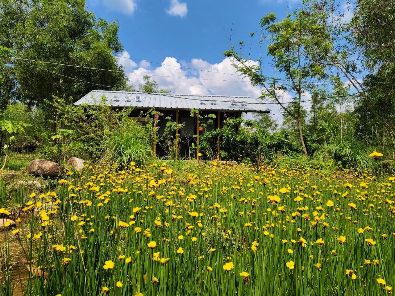 Kampot Camping - Eco Retreat Экстерьер фото